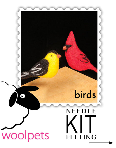 Birds Felting Kit