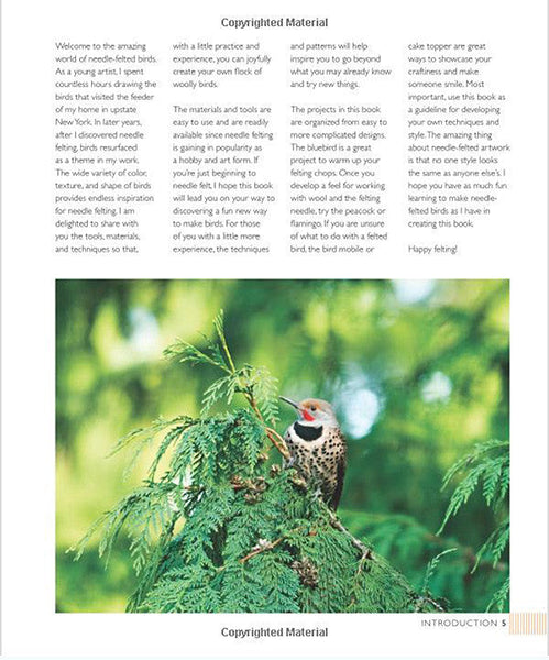 Felted Feathered Friends book sample page