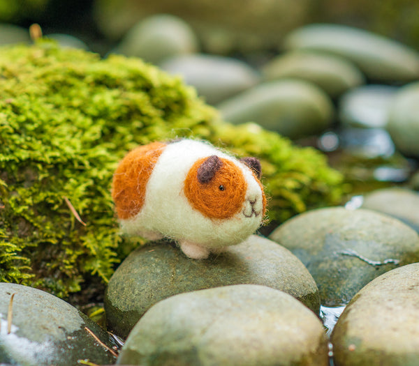 needle felted guinea pig on a rock