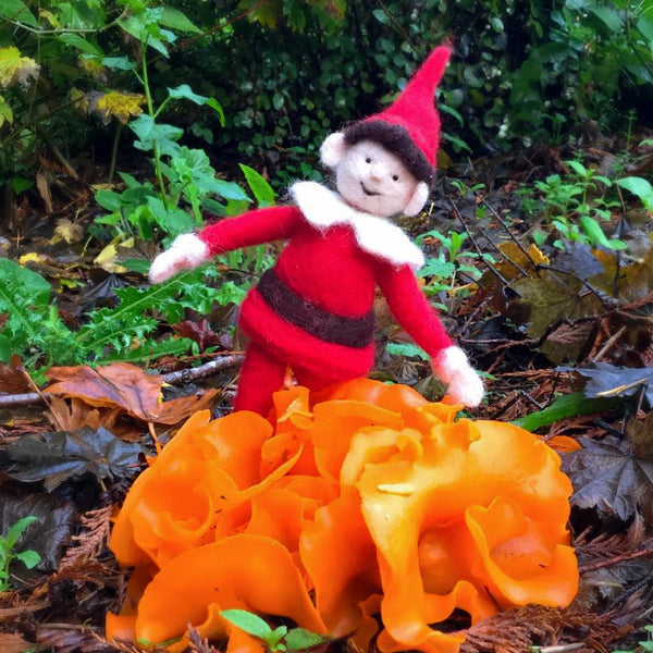 Woolpets Elf and mushrooms