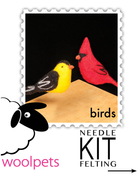 Birds Needle Felting Kit + 4x4 Foam Pad