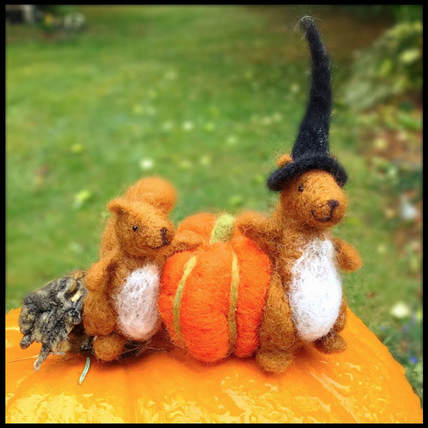 Woolpets Squirrels and pumpkin