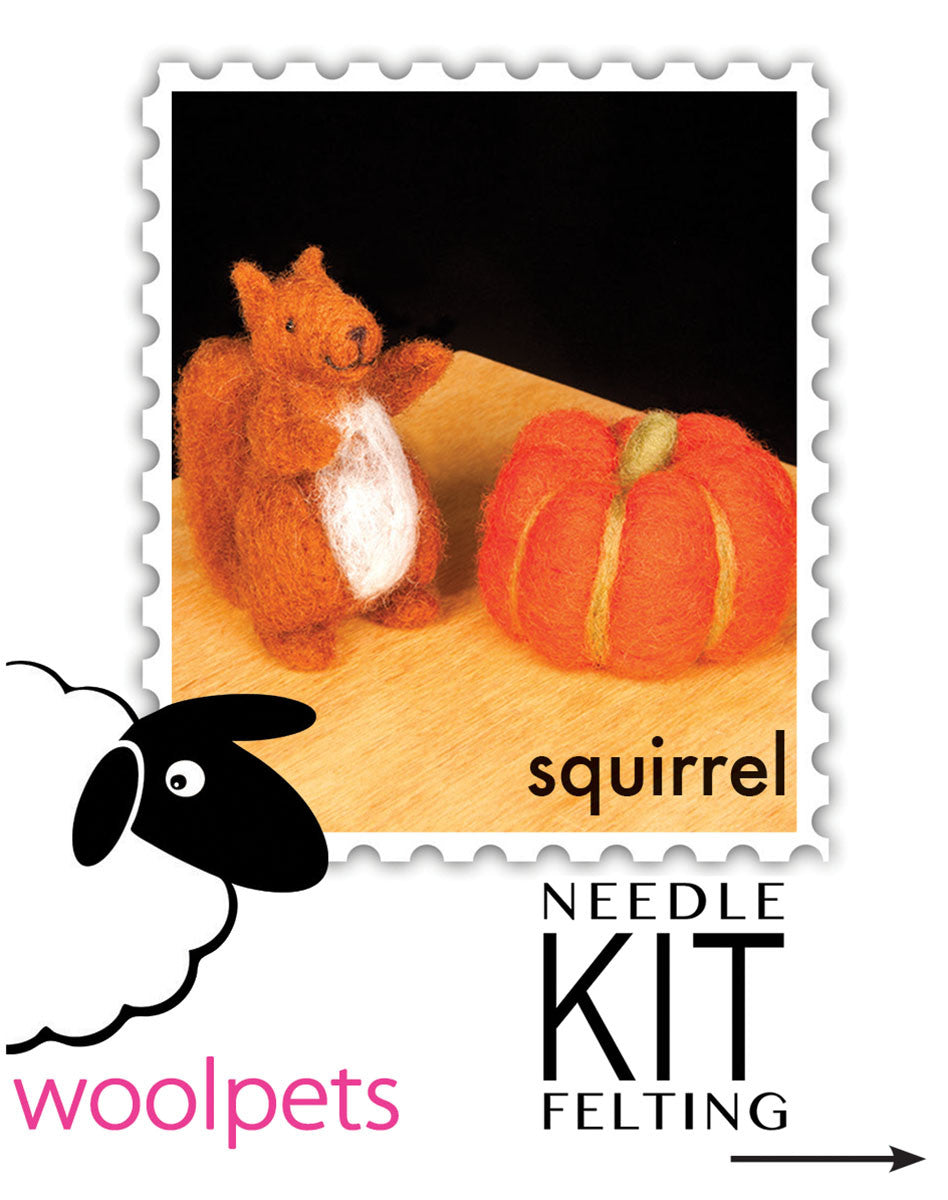 DIY Wool Felt Needle Felting Kit Raw Material for Adult Cartoon Animal  Squirrel 