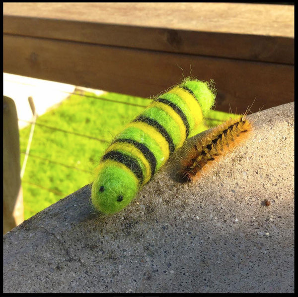Woolpets Caterpillar